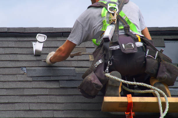 Best Roof Gutter Cleaning  in Lackawanna, NY
