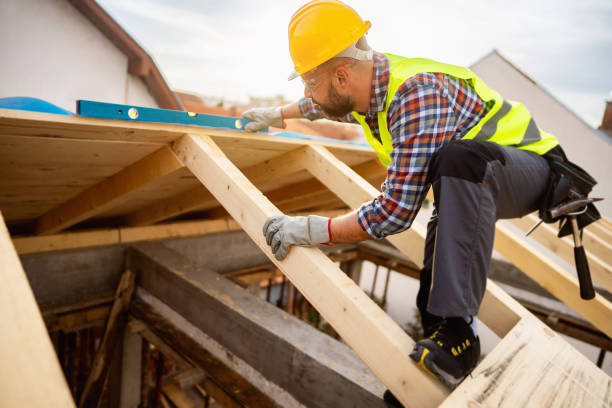 Roof Gutter Cleaning in Lackawanna, NY